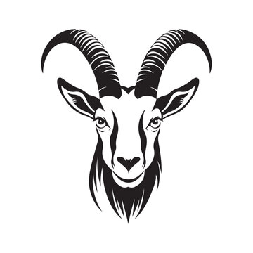 Antelope  Head Vector Image, Art and Design