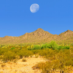 Moon Rising San Tan Mountains Sonora Desert Arizona