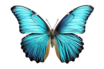butterfly isolated on a Transparent background. Generative AI