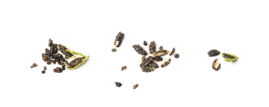 Cardamom Isolated, Green Cardamon Seeds, Dry Kardamon, Cardamum Spice, Genera Elettaria Beans