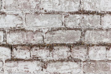 brick white dirty wall background