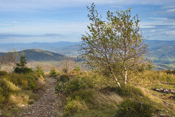Fototapeta na wymiar Barania Góra in autumn