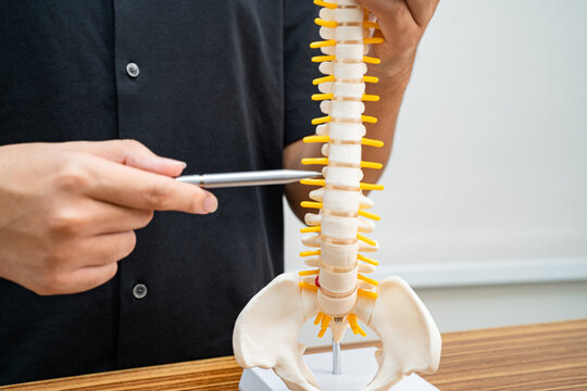 Student Teenage Learning Anatomy Biology With Bone Human Body Model In Classroom At High School.