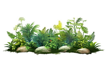 Garden design isolated on white background. Green plants for landscaping. Decorative shrub and flower bed - obrazy, fototapety, plakaty