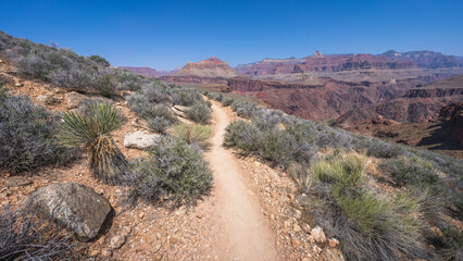 hiking the tonto trail in the grand canyon national park, arizona, usa