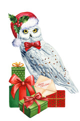 Owl in Santa hat and gift on isolated background, holiday watercolor illustration, Cozy clipart