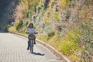 Obraz premium 秋の夕方の街で自転車を乗っている小学生の女の子の様子