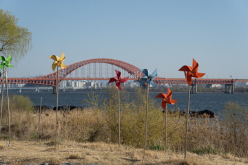 Fototapeta na wymiar Beautiful pinwheel by the riverside