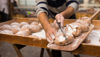 Wheat dough shaped into loaves arranged in rows on the table before baking