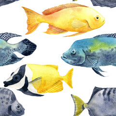 watercolor drawing seamless pattern with fishes at white background, hand drawn illustration