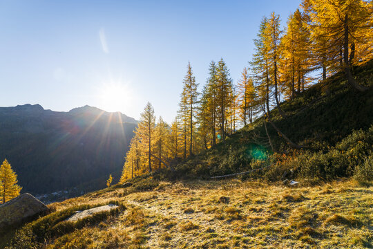 Alpe Devero