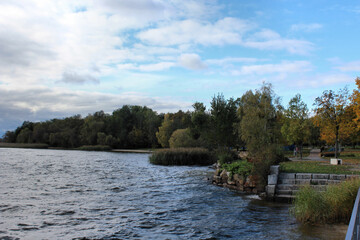 Fototapeta na wymiar Ufer Senftenberger See