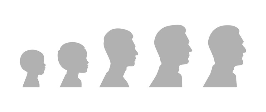 Vector illustration. Stages of growing up of a man - baby, child, teenager, adult, elderly. Silhouettes of men of different ages.