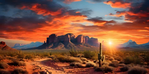 Abwaschbare Fototapete Orange Arizona desert with cactus illustration background