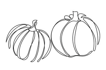 Continuous line art of pumpkins. Autumn harvest. Fresh fall fruits. Acorn, wheat, berries and mini pumpkins. Vegetables and fruits. Gourd line art. Thanksgiving. Fall harvest. Pumpkin festival vector