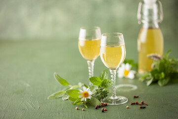 Natural homemade herbal liqueur in glasses and green leaves.