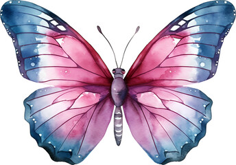 Butterfly Watercolor Clipart