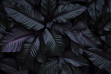 A Textured Composition of Abstract Black Leaves, Creating an Alluring Tropical Leaf Background. Ideal for a Dark Nature Concept or Tropical Theme