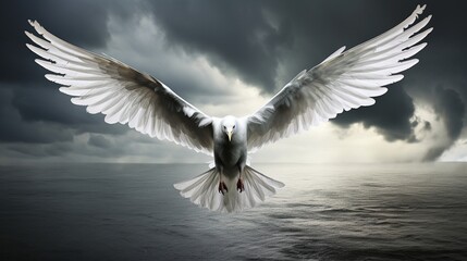 Majestic white bird in flight, wings spread wide against a stormy sky backdrop.