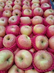 A pile of fiju apples or scientifically known as Malus domestica photographed at a high angle