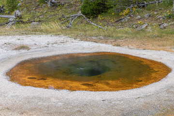 The Wave Spring with its intense brown colors in the Upper Geyser Basin in Yellowstone National Park