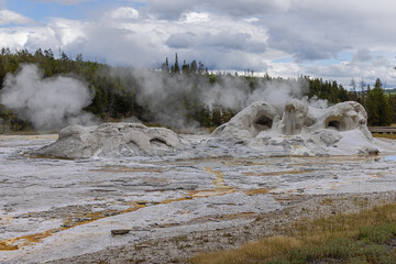 The area around the Grotto Geyser in the Upper Geyser Basin in Yellowstone National Park
