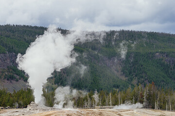 Distant view of the Castle Geyser in the Upper Geyser Basin in Yellowstone National Park