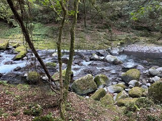 Kikuchi Keikoku or Kikuchi Gorge is a 4km long gorge located in Aso Kuju National Park and was selected as one of the 100 best waters in Japan. 
