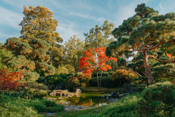 Beautiful Japanese Garden and red trees at autumn seson. A burst of fall color with pond reflections.