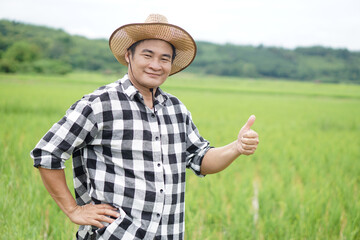 Handsome Asian man farmer is at paddy field, wear hat, plaid shirt, put hand on waist, thumbs up. Confident.Concept, Agriculture occupation. Thai farmer. Working with nature. Organic farming   