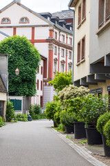 Urban greening in the center of Mulhouse department Haut-Rhin Elsace region in France