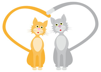 loves red and gray cats