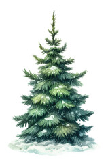 spruce, pine, tree isolated on transparent background. Watercolor illustration. Generative AI