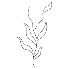 Abstract Floral Line Art