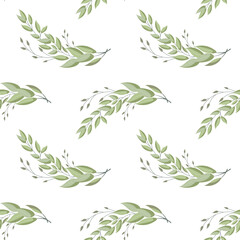 Seamless pattern, twigs and leaves of eucalyptus on a white background. Background, print, elegant textile, vector