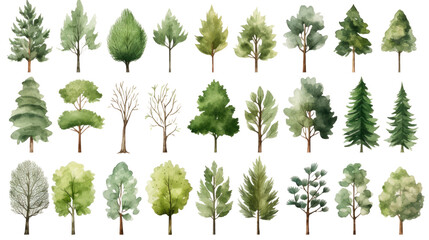 Set of Watercolor trees collection on transparent background - obrazy, fototapety, plakaty