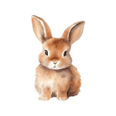 Easter rabbit hare holiday watercolor paint for greeting card decor on white background