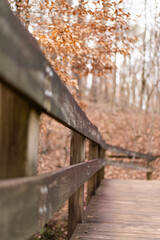 wooden bridge in autumn