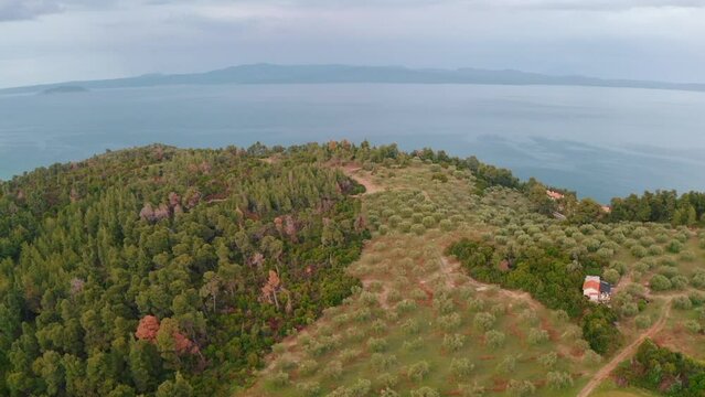Aerial drone view of Paliouri Beach in Kassandra Sithonia penisula  Chalkidiki Greece Aerial drone view of Paliouri Beach Chrousso Village in Kassandra Sithonia penisula  Chalkidiki Greece