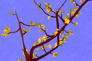 Ilustracja gałęzie kwitnący konar ukwiecone drzewo na niebieskie tło.