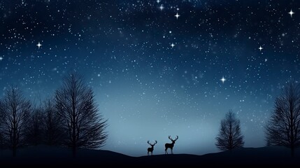 christmas photo of Starlit Night a dark sky Holiday decorations