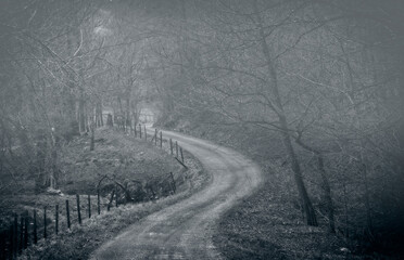 Dark and Creepy Winding Road in Black and White Tone
