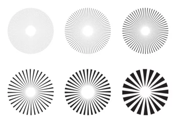 Tuinposter  Sunburst design elements collection. circular beams vector.  Sun rise light round decoration elements. Vector illustration. Abstract line circle vector background. © Vector Vista