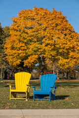 Colorful wooden chairs in urban city park shot on a sunny fall day, out of focus bright yellow maple tree in the background.