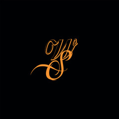 A unique WS logo desing make by adobe illustrator.