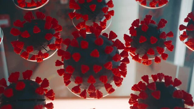 Explore a COVID-19 bacteria model, revealing the virus's microscopic intricacies