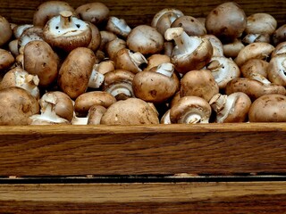 mushrooms lie in a box on a store shelf