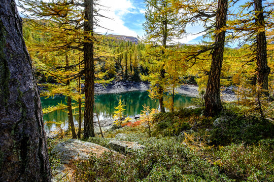 Lago Nero al Devero