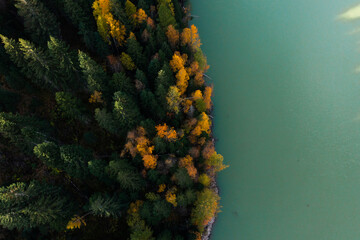 Drohnenaufnahme von einem Wald am See zur Herbstzeit. Viele bunte und kräftige Farben vom Wald und See Drohne 3 - obrazy, fototapety, plakaty