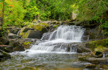 A waterfall in the forest